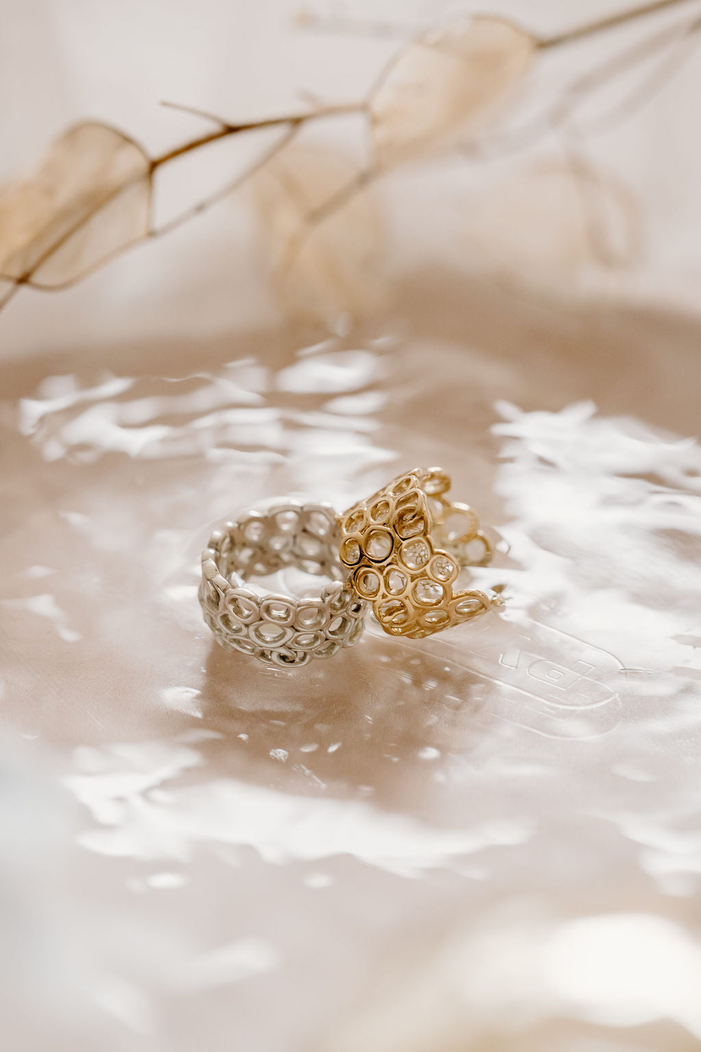 the Beauty Within Collection